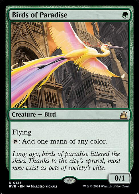 Birds of Paradise (rvr) (133)
