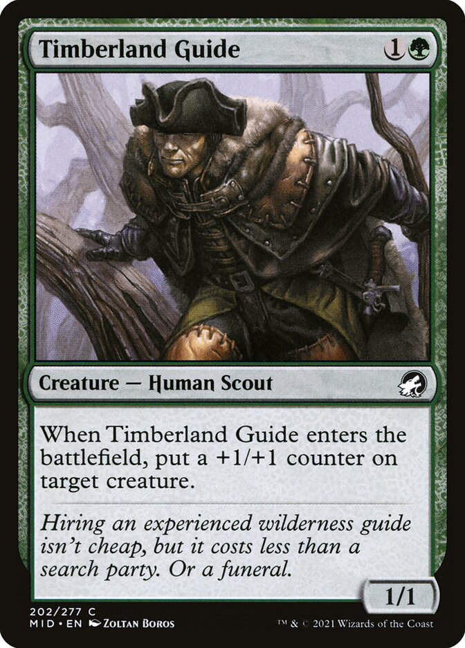 Timberland Guide (MID) (202)