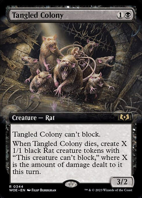 Tangled Colony (woe) / Extended Art