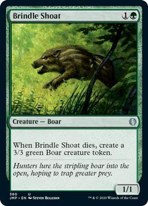 Brindle Shoat (JMP)