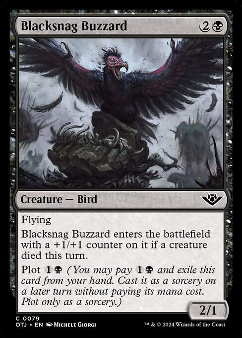 Blacksnag Buzzard (otj) (79)