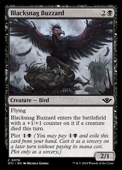 Blacksnag Buzzard (otj) (79)