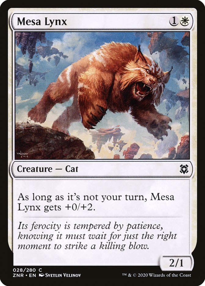 Mesa Lynx (ZNR) (28)