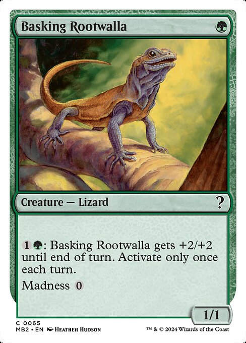 Basking Rootwalla (MB2) (65)