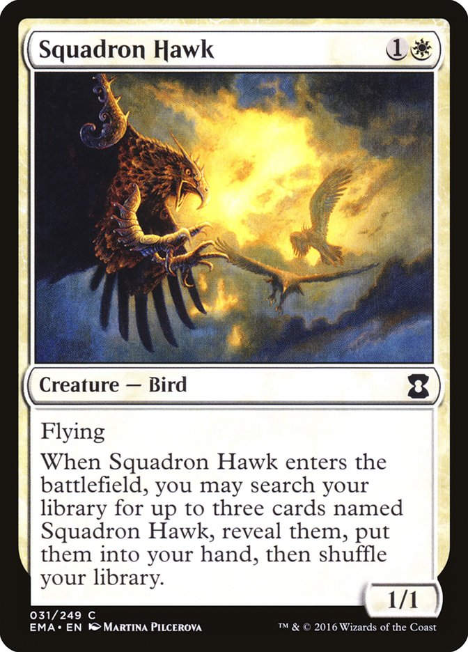 Squadron Hawk (ema)