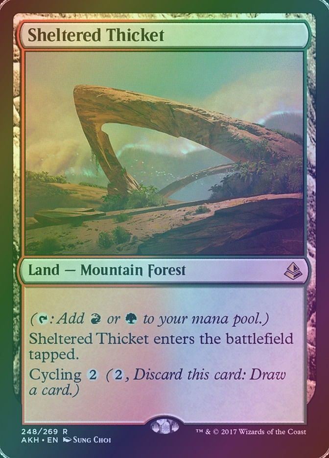 Sheltered Thicket (AKH) (248) / Foil