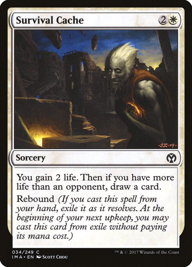 Survival Cache (ima)