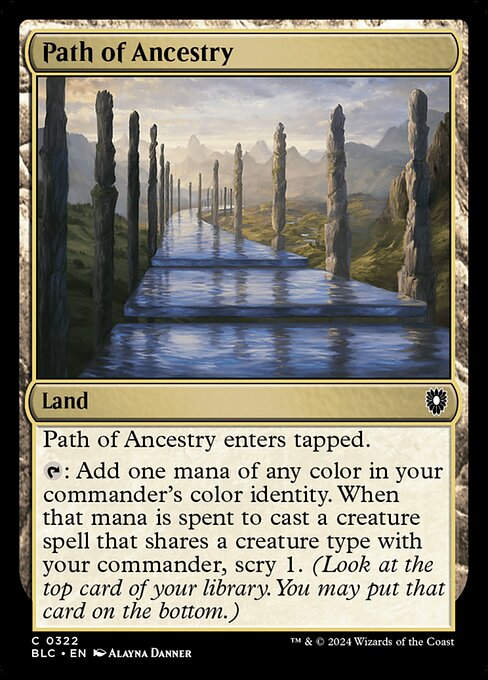 Path of Ancestry (blc) (322)