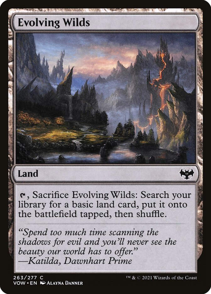 Evolving Wilds (VOW) (263)
