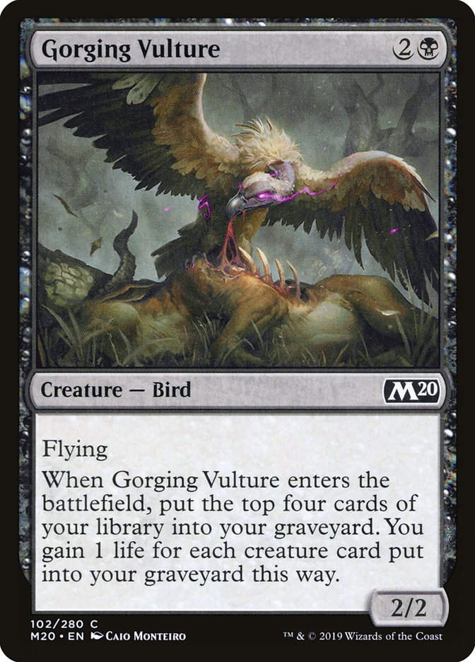 Gorging Vulture (M20) (102)
