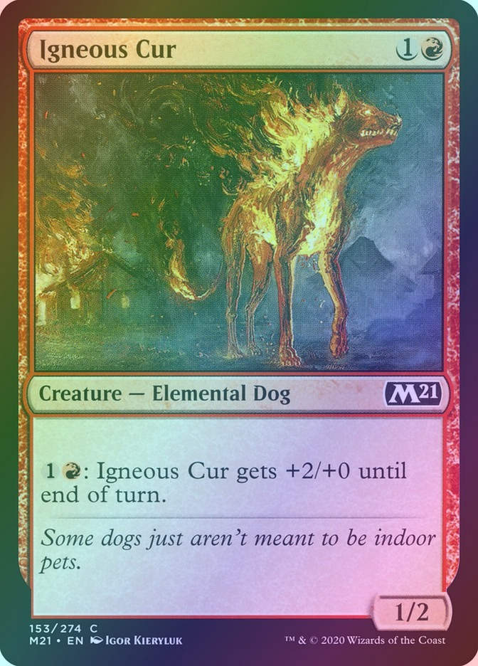 Igneous Cur (M21) (153) / Foil