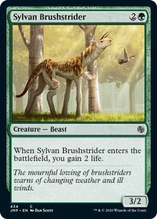 Sylvan Brushstrider (JMP)