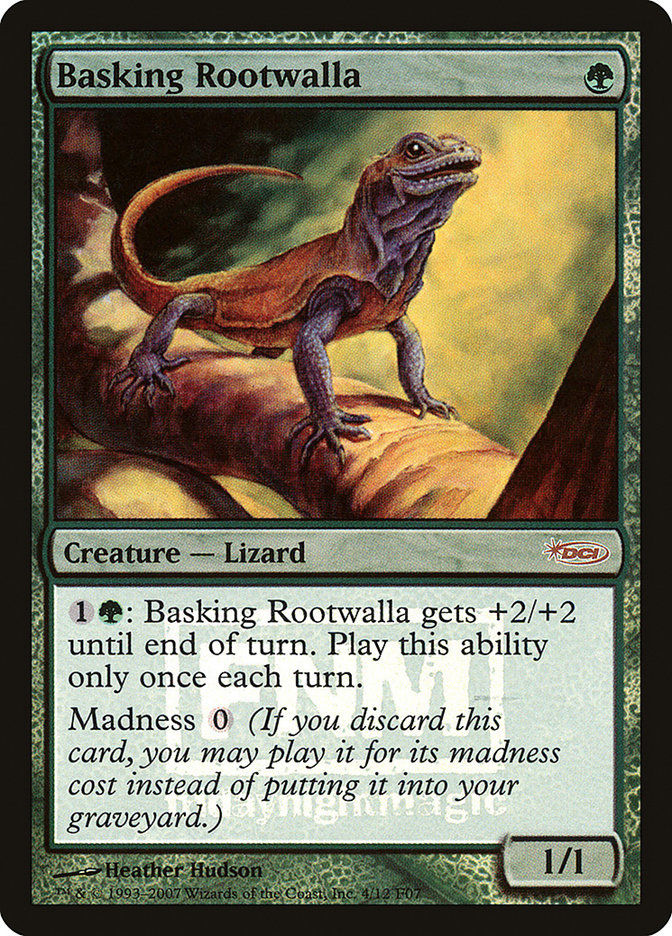 Basking Rootwalla (f07)