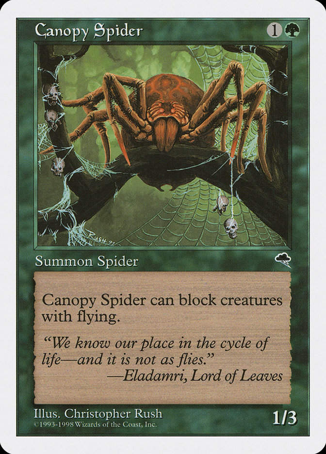 Canopy Spider (ATH) (52)