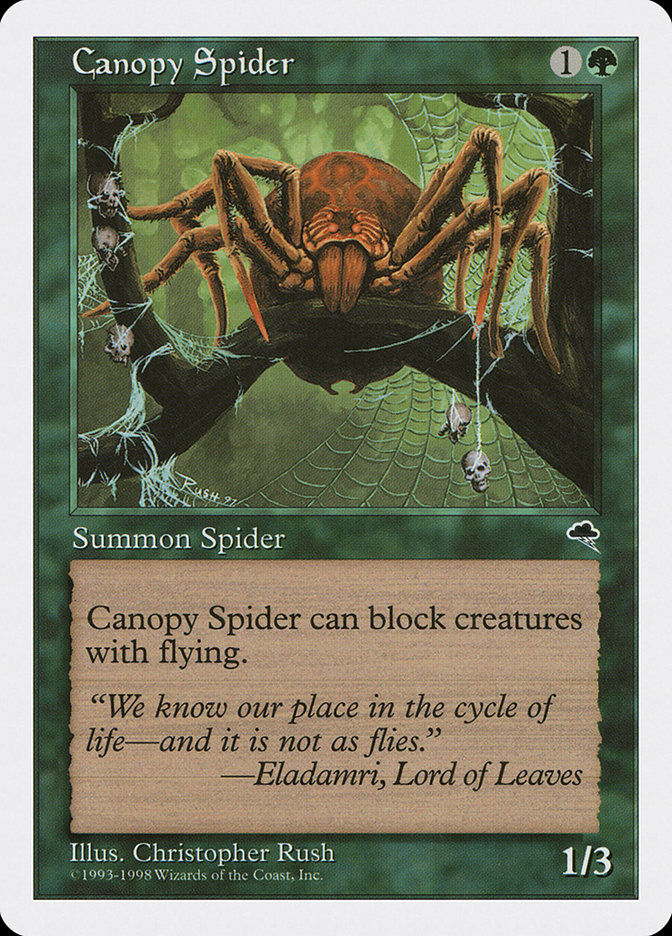 Canopy Spider (ATH) (52)
