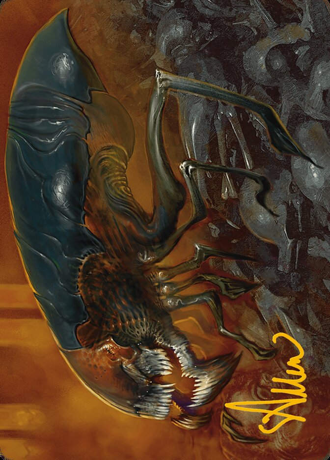 Cranial Ram (AMH3) (13) / Firma Dorada
