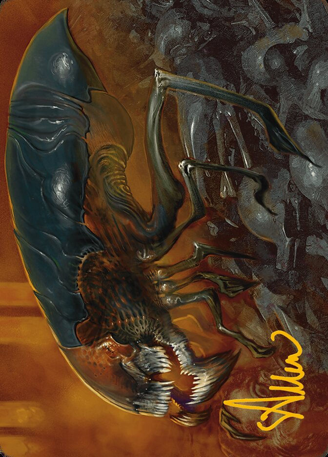 Cranial Ram (AMH3) (13) / Firma Dorada