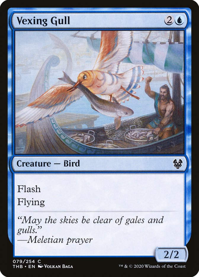 Vexing Gull (THB) (79)