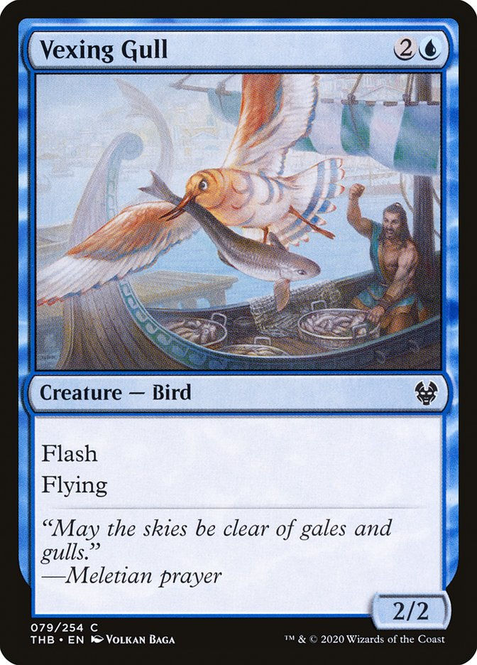 Vexing Gull (THB) (79)