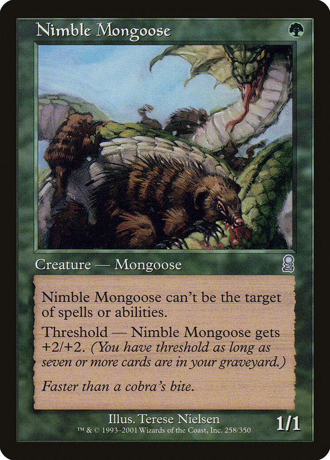 Nimble Mongoose (ody)