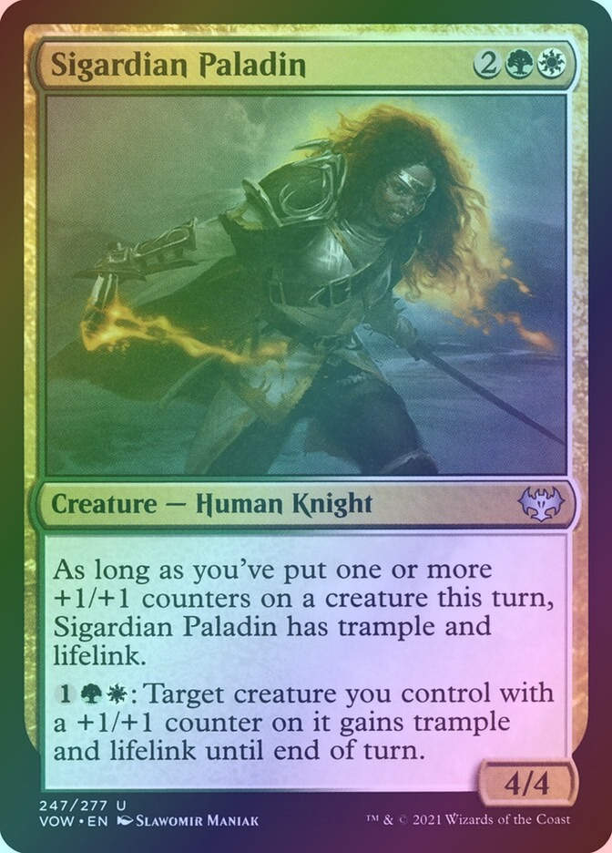 Sigardian Paladin (VOW) (247) / Foil