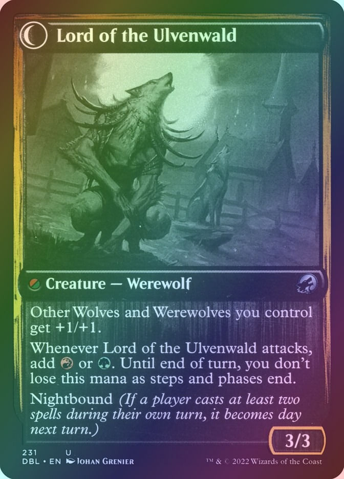 Kessig Naturalist // Lord of the Ulvenwald (DBL) (231) / Foil — cara 2 de 2