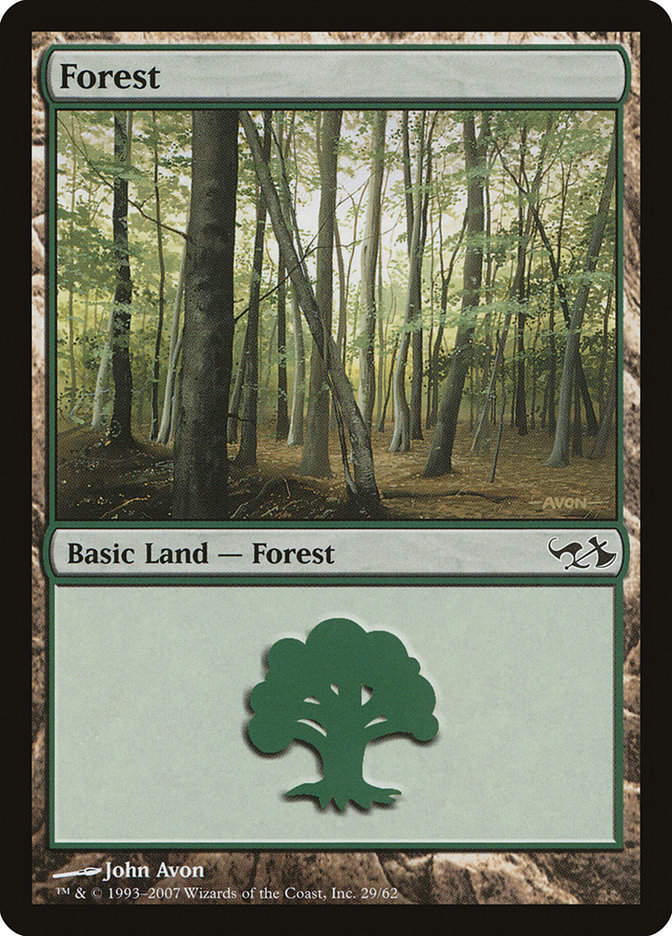 Forest (dd1)