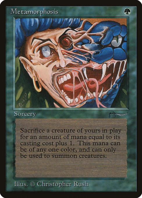 Metamorphosis (ARN) (51)
