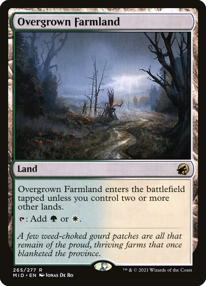 Overgrown Farmland (MID) (265)