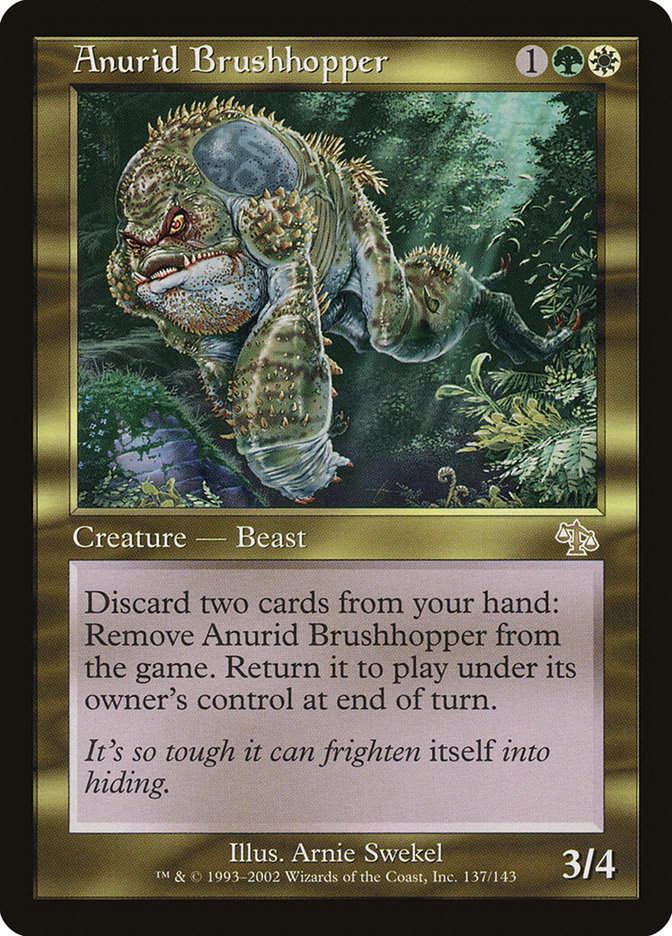 Anurid Brushhopper (jud)