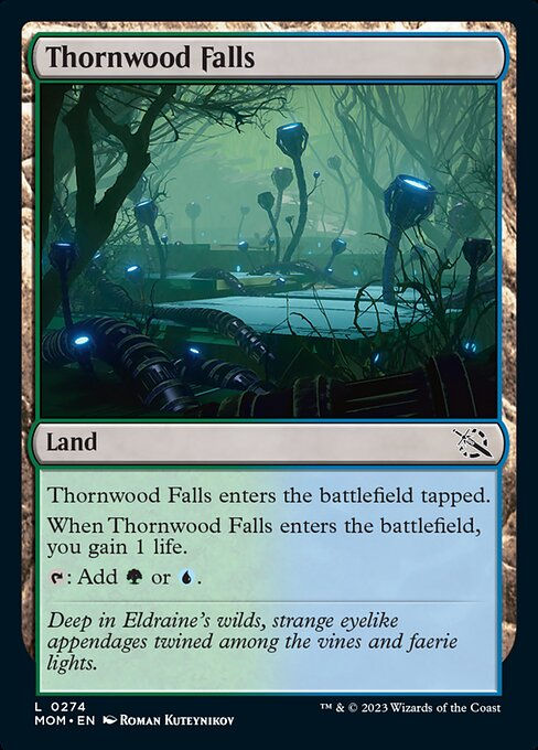 Thornwood Falls (mom)