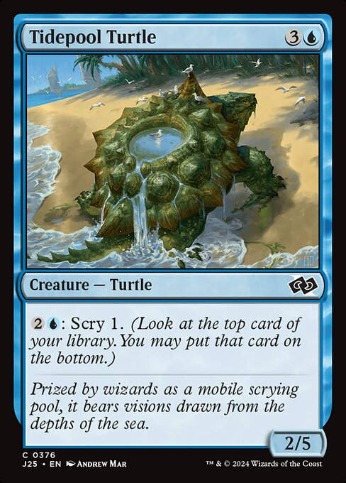 Tidepool Turtle (J25) (376)