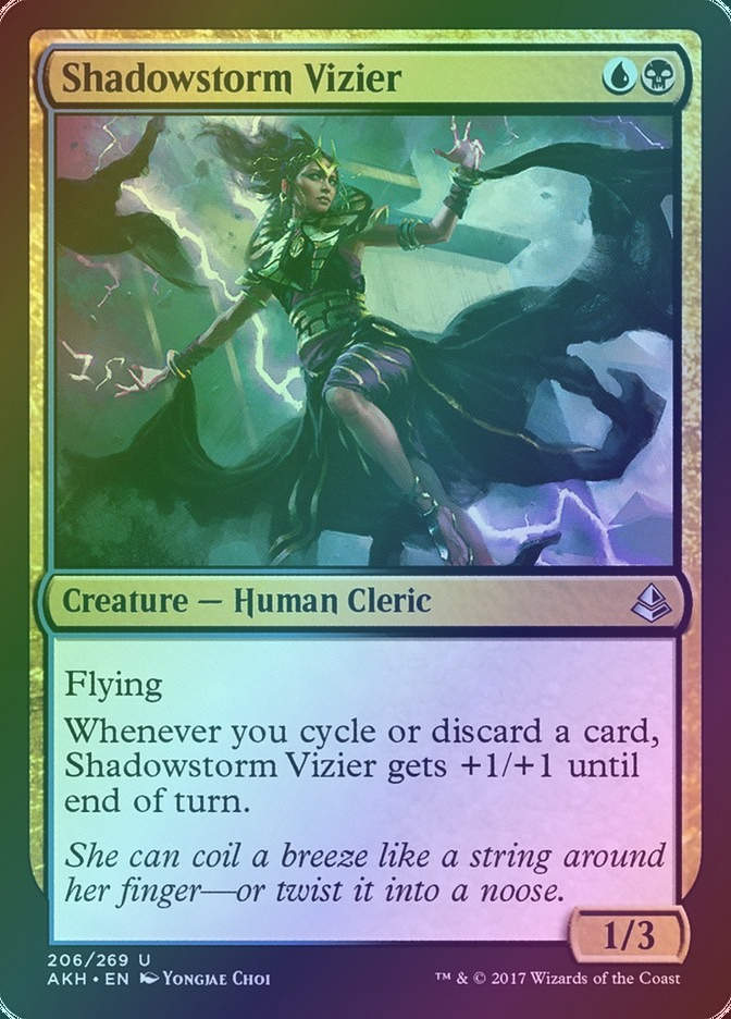 Shadowstorm Vizier (AKH) (206) / Foil