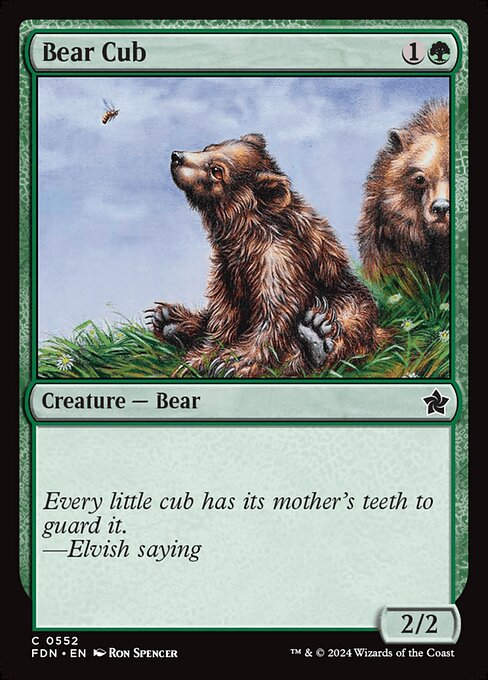 Bear Cub (FDN) (552) (Beginner)