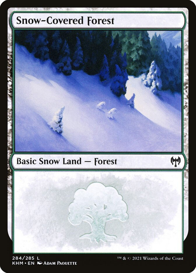 Snow-Covered Forest (KHM) (284)