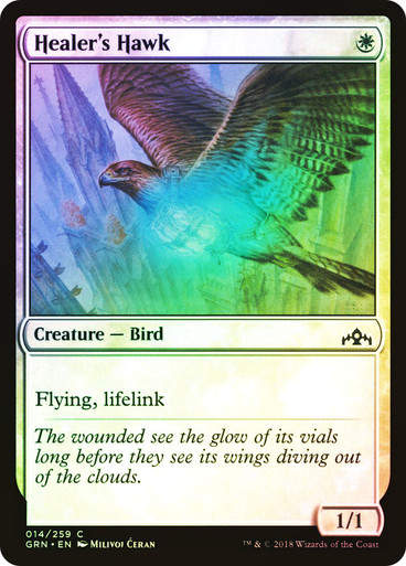Healer's Hawk (GRN) (14) / Foil