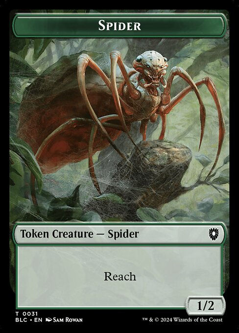 Spider (tblc) (31)