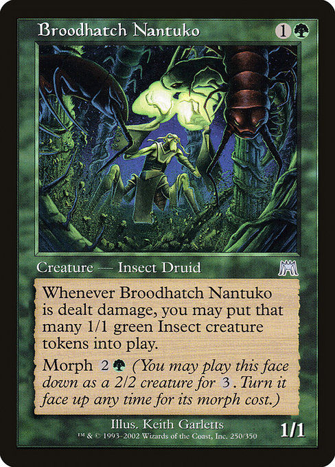 Broodhatch Nantuko (ONS)