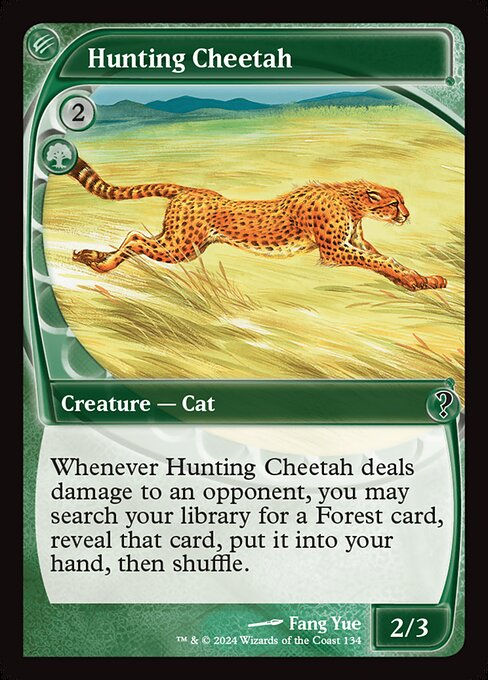 Hunting Cheetah (MB2) (134)