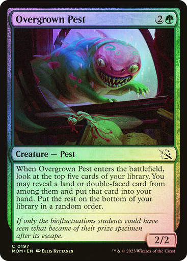 Overgrown Pest (mom) / Foil