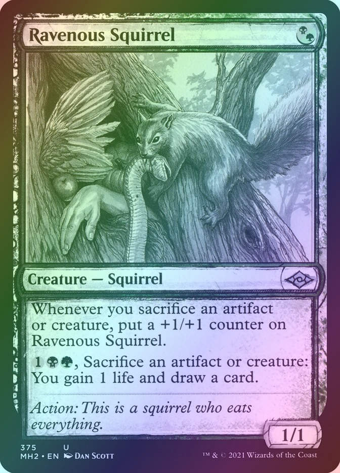 Ravenous Squirrel (MH2) (375) / Showcase / Foil