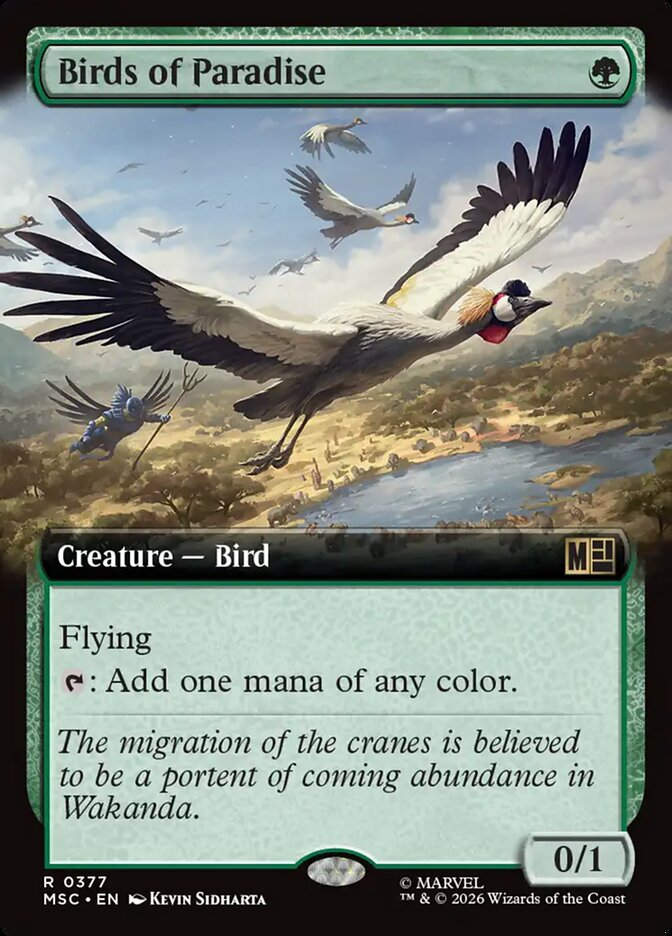 Birds of Paradise (MSC) (377) / Extended Art