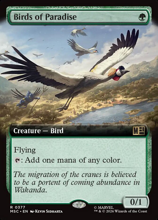 Birds of Paradise (MSC) (377) / Extended Art