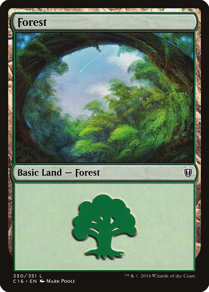 Forest (c16)