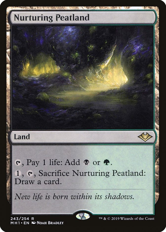 Nurturing Peatland (MH1) (243)