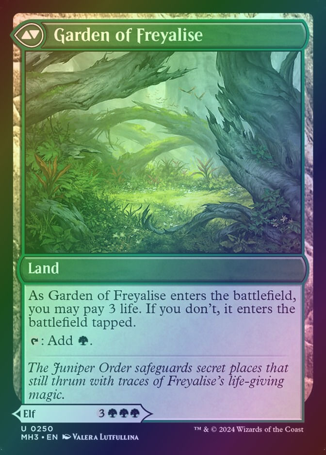 Disciple of Freyalise // Garden of Freyalise (MH3) (250) / Foil — cara 2 de 2