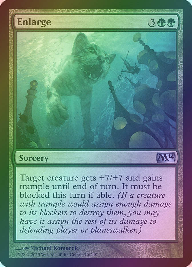 Enlarge (M14) (170) / Foil