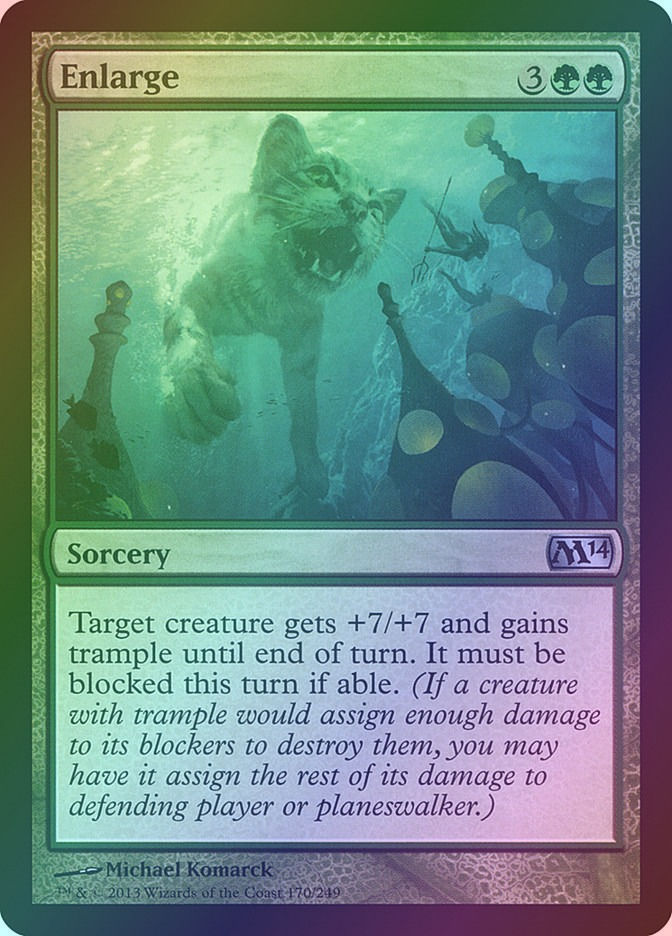 Enlarge (M14) (170) / Foil