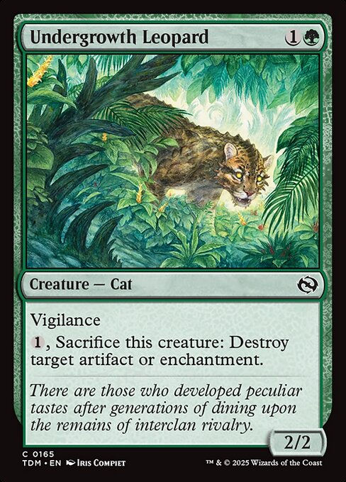 Undergrowth Leopard (TDM) (165)