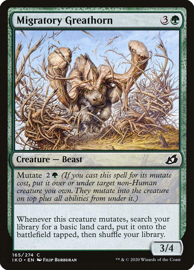 Migratory Greathorn (IKO) (165)